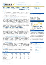 美亚光电2019年报点评:多板块业务稳健成长,国内外业务平衡疫情影响