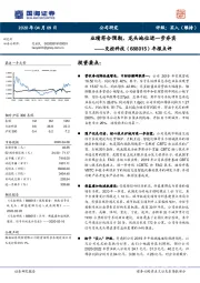 年报点评：业绩符合预期，龙头地位进一步夯实