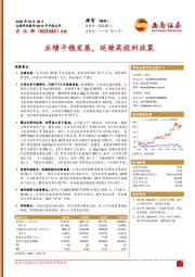 业绩平稳发展,延续高股利政策