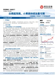19年年报点评：业绩超预期，小黄袋持续放量可期