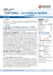 2019年年报点评：考虑产能释放，2019年或是ROE相对低点