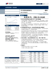 2019年年报点评：视觉时代，CIS龙头起航