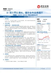 2020年一季度业绩预告点评:Q1预计同比增长,看好全年业绩提升