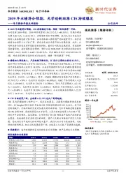 韦尔股份年报点评报告：2019年业绩符合预期，光学创新助推CIS持续爆发