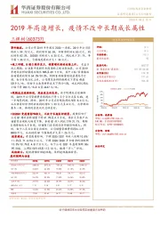 2019年高速增长，疫情不改中长期成长属性