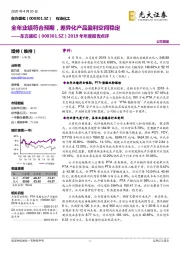 2019年年度报告点评:全年业绩符合预期,差异化产品盈利空间稳定