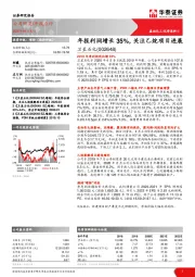 年报利润增长35%，关注乙烷项目进展