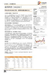 风电主机龙头地位凸显，抢装带来营收增长动力