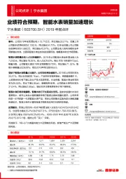 2019年报点评：业绩符合预期，智能水表销量加速增长