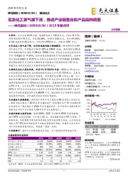 2019年报点评:尼龙化工景气度下滑,推进产业链整合和产品结构调整