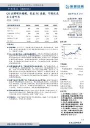 Q1业绩增长稳健，受益5G流量，可视化龙头大有可为