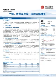 产销、效益双丰收，业绩大幅增长