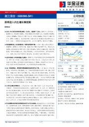 即将进入内生增长释放期