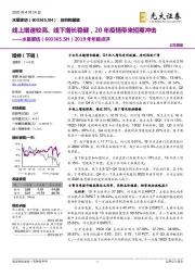 2019年年报点评：线上增速较高、线下增长稳健，20年疫情带来短期冲击