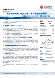 2019年一季报预告点评报告：疫情冲击拖累20Q1业绩，生产经营稳步复苏