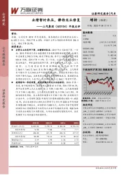 年报点评：业绩暂时承压，静待龙头修复