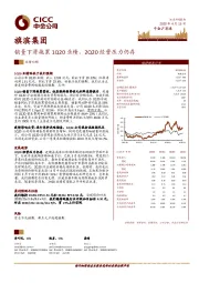 销量下滑拖累1Q20业绩，2Q20经营压力仍存