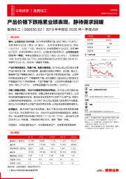 2019年年报及2020年一季报点评：产品价格下跌拖累业绩表现，静待需求回暖