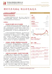 借时代东风崛起 铸全球电池龙头
