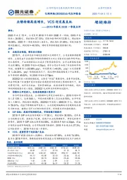 2019年报及2020一季报点评:业绩持续高速增长,VCS迎发展良机