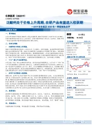 2019年年报及2020年1季报预告点评:泛酸钙处于价格上升周期,在研产品有望进入收获期