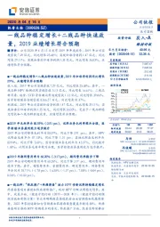 一线品种稳定增长+二线品种快速放量,2019业绩增长符合预期
