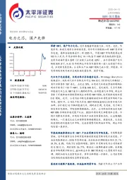 电力之芯，国产先锋