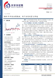 2019年年报业绩靓丽，新产品实现重大跨越