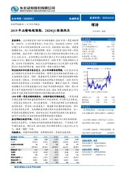 2019年业绩略超预期，2020Q1短期承压