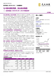 2019年报点评：Q4增长表现亮眼，龙头地位稳固