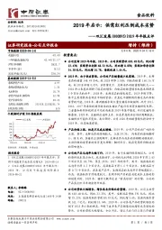 2019年年报点评：2019年启示：供需红利压倒成本劣势