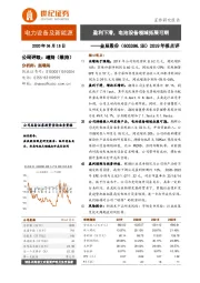 2019年报点评：盈利下滑，电池设备领域拓展可期