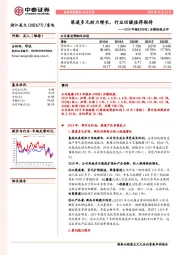 2019年报&2020Q1业绩快报点评：渠道多元助力增长，行业回暖值得期待