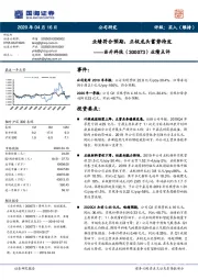 业绩点评：业绩符合预期，正极龙头蓄势待发