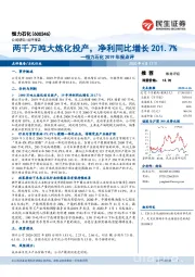 恒力石化2019年报点评:两千万吨大炼化投产,净利同比增长201.7%