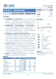 一体化步入收获期，期待钴价反弹