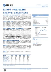 专注高端零食，全渠道发力加速奔跑