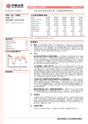 炼化项目推动业绩大增,长期趋势继续看好