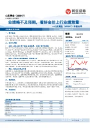 年报点评：业绩略不及预期，看好金价上行业绩放量