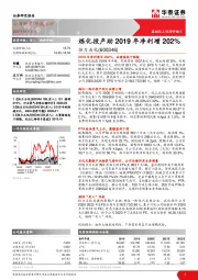 炼化投产助2019年净利增202%