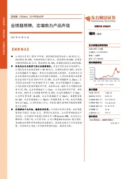 2019年报点评：业绩超预期，定增助力产品升级