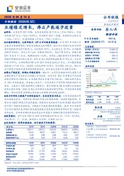 业绩稳定增长，沸石产能逐步放量
