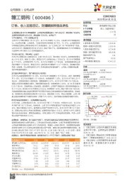 订单、收入双超百亿,定增赋能转型总承包