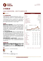 1Q20业绩略超预期，看好中长期增长前景