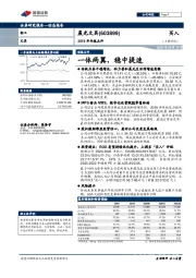 2019年年报点评：一体两翼，稳中提速