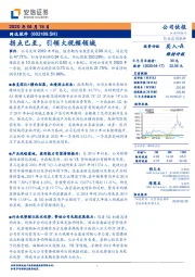 拐点已至，引领大视频领域