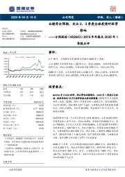 2019年年报及2020年1季报点评：业绩符合预期，关注2、3季度全球疫情对经营影响