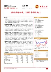 盈利底部企稳，2020年拐点向上