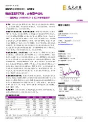 2019年年报点评：雅砻江盈利下滑，火电资产优化