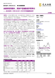 2019年年度报告点评:业绩实现高增长,高效产品储备提升竞争力
